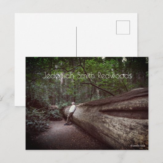 State Park Jedediah Smith Redwood Briefkaart (Voorkant / Achterkant)