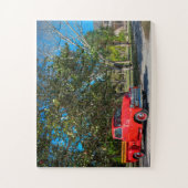 State Park Koreshan Legpuzzel (Verticaal)