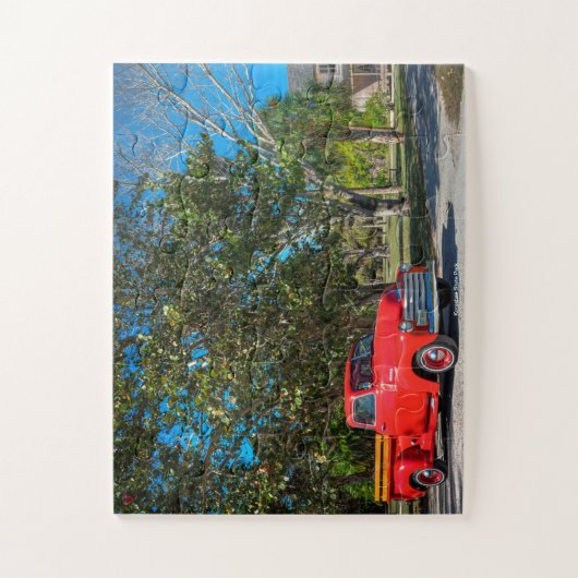 State Park Koreshan Legpuzzel (Verticaal)