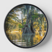 State Park Lake Fausse Pointe (Voorkant)