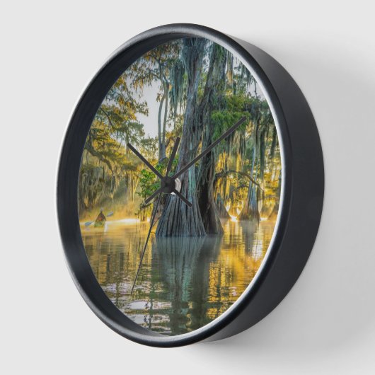 State Park Lake Fausse Pointe (Hoek)