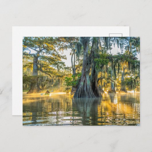 State Park Lake Fausse Pointe Briefkaart (Voorkant / Achterkant)