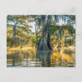 State Park Lake Fausse Pointe Briefkaart (Voorkant)