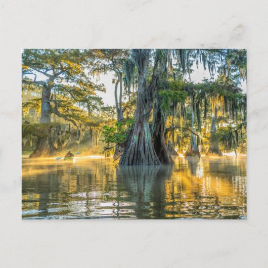 State Park Lake Fausse Pointe Briefkaart (Voorkant)