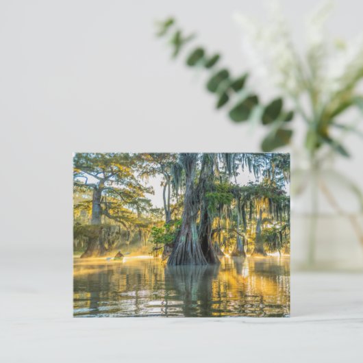 State Park Lake Fausse Pointe Briefkaart (Staand voorkant)