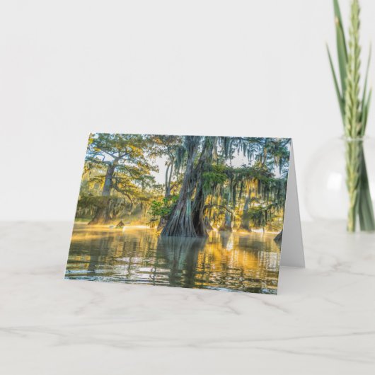 State Park Lake Fausse Pointe Kaart (Voorkant)