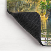 State Park Lake Fausse Pointe Muismat (Hoek)