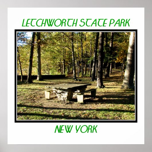 State Park Letchworth - Tea Table Rock Poster (Voorkant)