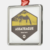 State Park Maryland Metalen Ornament (Links)