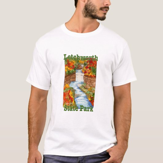 State Park, New York T-shirt (Voorkant)