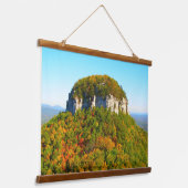 State Park Pilot Mountain in North Carolina Hangend Wandkleed (Gebogen)