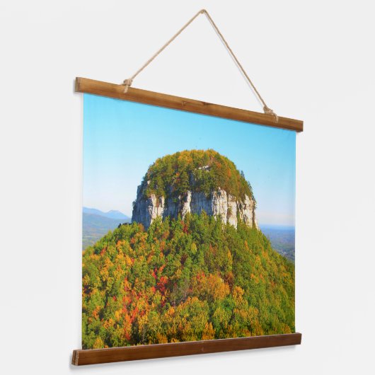 State Park Pilot Mountain in North Carolina Hangend Wandkleed (Gebogen)