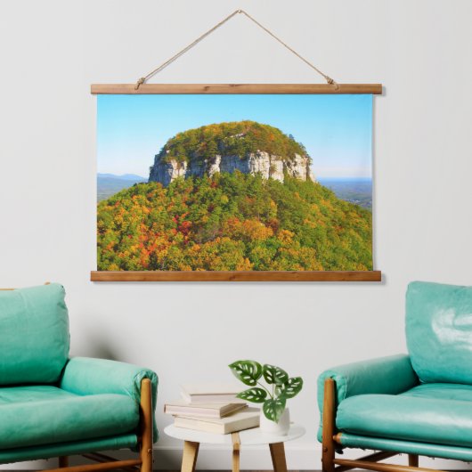 State Park Pilot Mountain in North Carolina Hangend Wandkleed (Woonkamer)