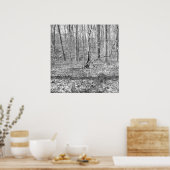 State Park Ridley Creek Poster (Keuken)