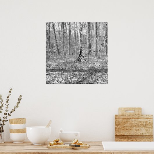 State Park Ridley Creek Poster (Keuken)