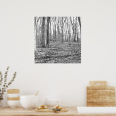 State Park Ridley Creek Poster (Keuken)