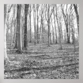 State Park Ridley Creek Poster (Voorkant)