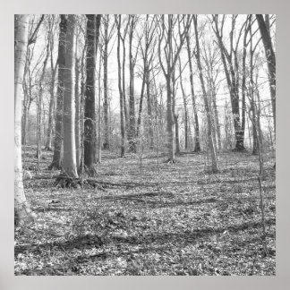 State Park Ridley Creek Poster