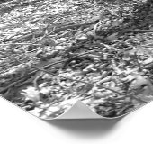 State Park Ridley Creek Poster (Hoek)