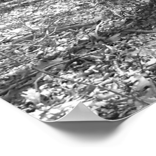 State Park Ridley Creek Poster (Hoek)