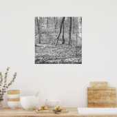 State Park Ridley Creek Poster (Keuken)