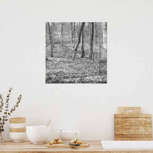 State Park Ridley Creek Poster (Keuken)