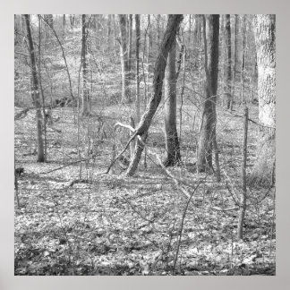 State Park Ridley Creek Poster