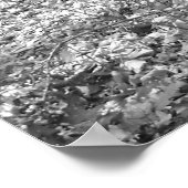 State Park Ridley Creek Poster (Hoek)