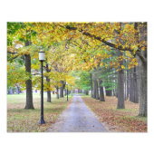 State Park Saratoga Spa Foto Afdruk (Voorkant)