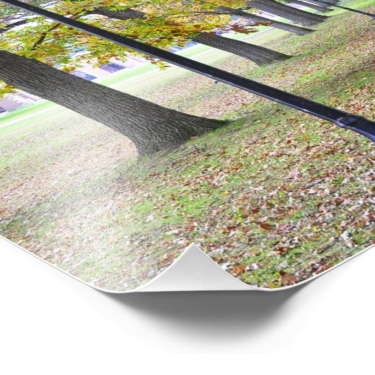 State Park Saratoga Spa Foto Afdruk (Hoek)