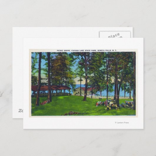 State Park Scene bij het meer Cayuga Briefkaart (Voorkant / Achterkant)