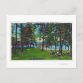 State Park Scene bij het meer Cayuga Briefkaart (Voorkant)