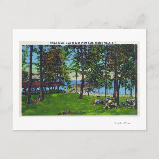 State Park Scene bij het meer Cayuga Briefkaart (Voorkant)