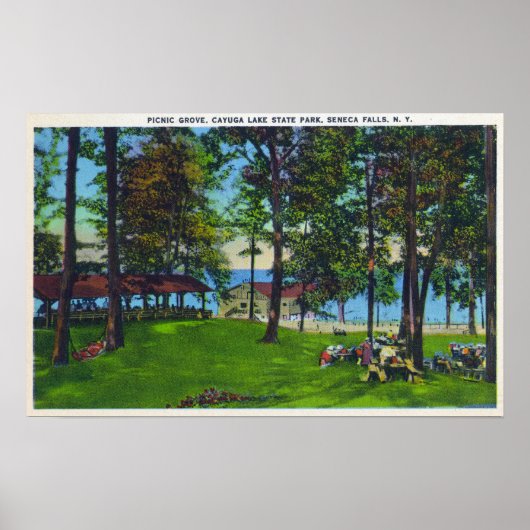 State Park Scene bij het meer Cayuga Poster (Voorkant)