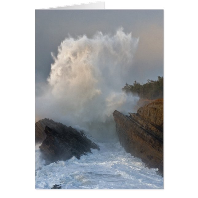 State Park Shore Acres, Charleston, Oregon (Voorkant)