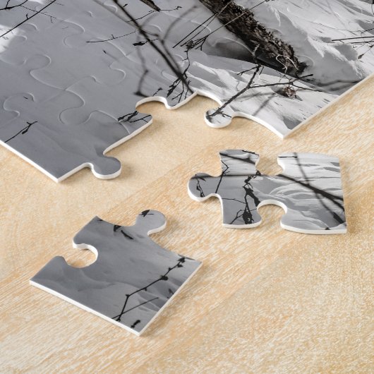 State Park Snow Natuur Winter Legpuzzel (Zijkant)