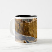 State Park Split Rock Lighthouse op Lake Tweekleurige Koffiemok (Voorkant links)