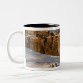 State Park Split Rock Lighthouse op Lake Tweekleurige Koffiemok (Links)