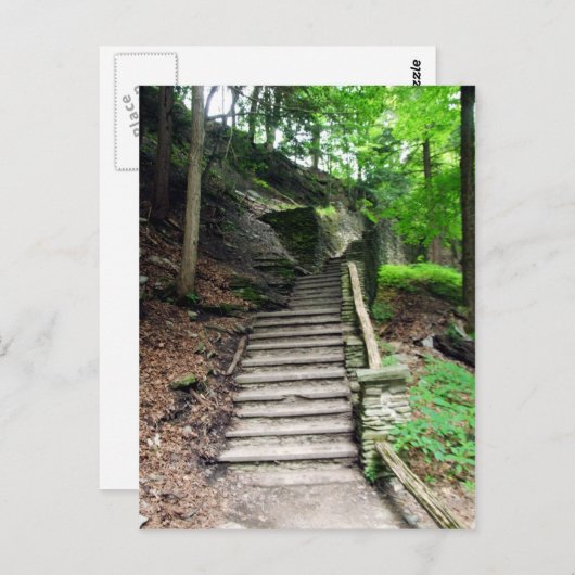 State Park Stone staat in waterval Briefkaart (Voorkant / Achterkant)