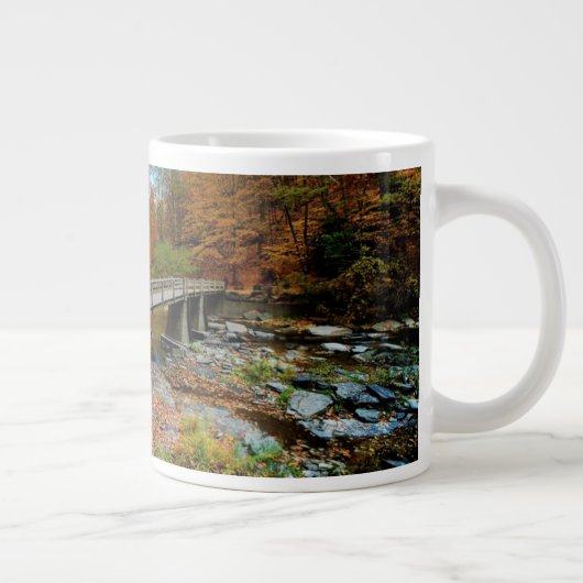 State Park Taughannock Herfsten Grote Koffiekop (Rechts)