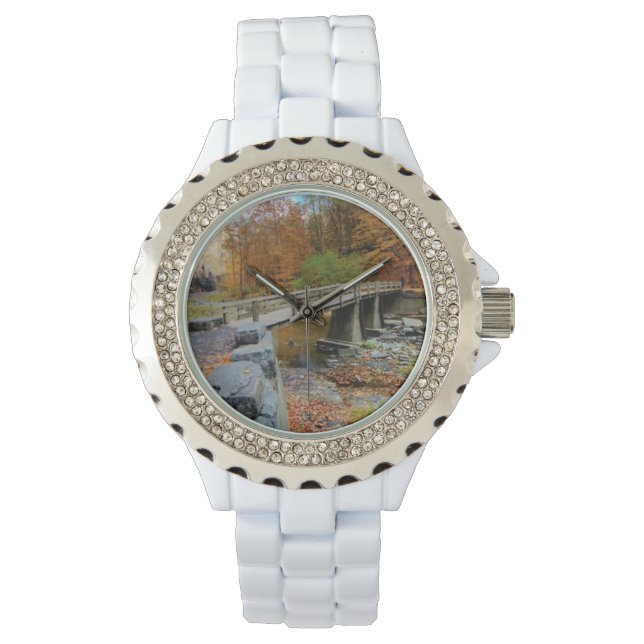State Park Taughannock Herfsten Horloge (Voorkant)