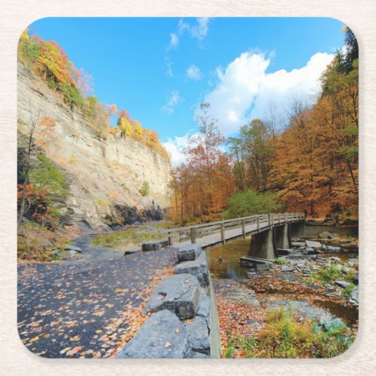 State Park Taughannock Herfsten Kartonnen Onderzetters (Voorkant)