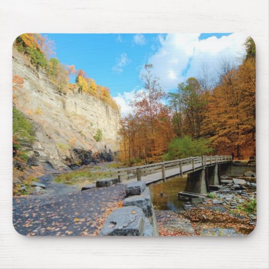 State Park Taughannock Herfsten Muismat (Voorkant)