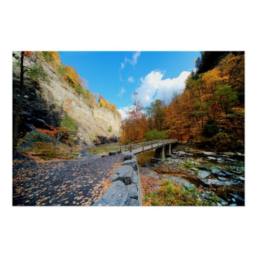 State Park Taughannock Herfsten Poster (Voorkant)