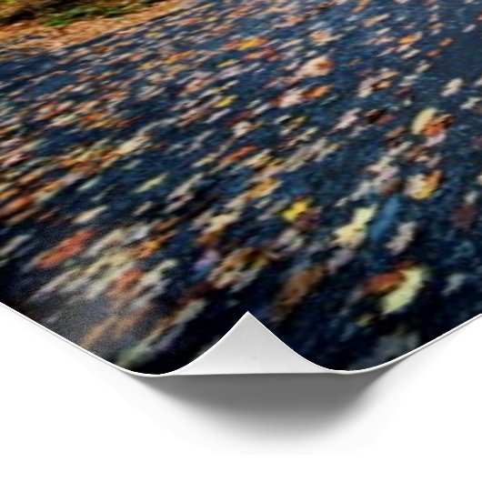 State Park Taughannock Herfsten Poster (Hoek)