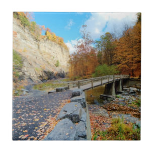 State Park Taughannock Herfsten Tegeltje
