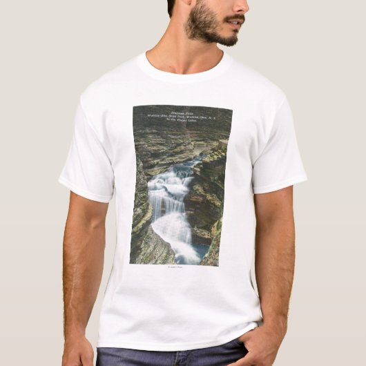State Park Uitzicht van diamantHerfsten T-shirt (Voorkant)