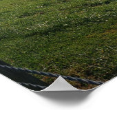 State Park van het Boerderij Malabar, gezien van d Poster (Hoek)