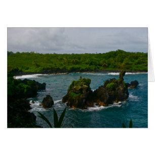 State Park Waianapanapa, Maui