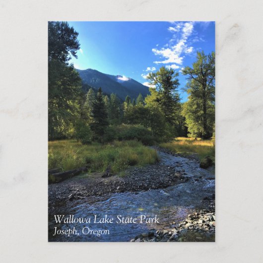 State Park Wallowa Lake, OR Briefkaart (Voorkant)
